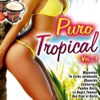 Puro Tropical Vol. 1