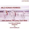 Stream & download Wild Horses Remixes - EP