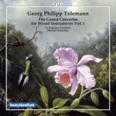 Telemann: Grand Concertos, Vol. 1 artwork