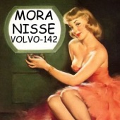 Volvo-142 artwork