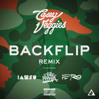 Backflip (feat. Wiz Khalifa, A$AP Ferg & Iamsu!) [Remix] by Casey Veggies song reviws