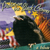 Pickin' On the Black Crowes: A Bluegrass Tribute - Pickin' On Series