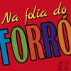 Na Folia do Forró, Vol. 2, 2015