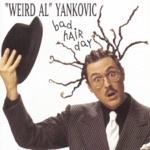 "Weird Al" Yankovic - Everything You Know Is Wrong