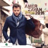 Amer Zayan 2015, 2015