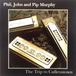 Phil, John & Pip Murphy - The Flogging Reel, Kathy Jones and the Honeymoon (Reels)