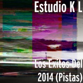 Los Éxitos Del 2014 (Pistas) artwork