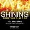 Shining (feat. Mikey Dance) - Timmy Regisford lyrics