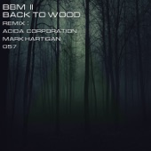 Back to Wood (Acida Corporation Remix) artwork
