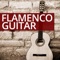 Latin Lovers - Spanish Guitar lyrics