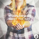Carry the Fire artwork