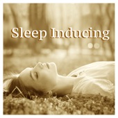 Sleep Inducing - Music for Deep Sleep and Fight Insomnia with Sea Waves, Thunderstorms and Rain artwork