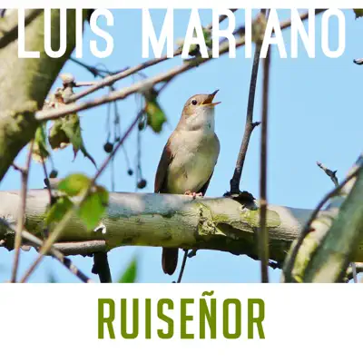 Ruiseñor - Single - Luis Mariano