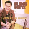 Lástima Que Sea Prohibido - Single