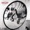 Pearl Jam - Dissident