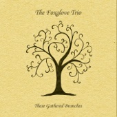 The Foxglove Trio - The Jolly Pinder of Wakefield