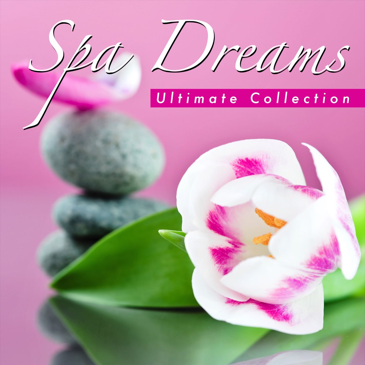 ‎Spa Dreams – Ultimate Collection of Massage Music for Therapy and ...