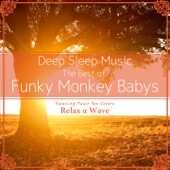Deep Sleep Music - The Best of Funky Monkey Babys: Relaxing Music Box Covers artwork