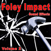 Foley Impact Sound Effects, Vol. 2 - The Hollywood Edge Sound Effects Library