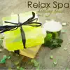 Relax Spa - Healing Touch, Calming Spa Music for Deep Relaxation and Massage album lyrics, reviews, download