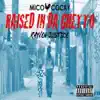 Stream & download Raised In Da Ghetto - Single