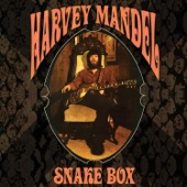 Harvey Mandel - Dry Your Eyes