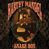 Harvey Mandel - Bradley's Barn