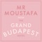 Mr Moustafa (From "the Grand Budapest Hotel") [Cover Version] artwork