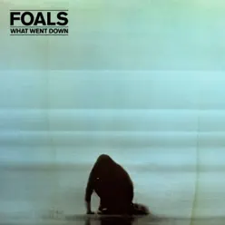 What Went Down (Deluxe) - Foals