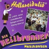 Die Heilbrunner Musikanten - Brave Dirndl kemman in Himmel
