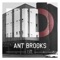 Effect - Ant Brooks lyrics