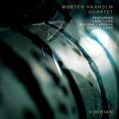 Viridian (feat. Morten Haxholm, Lage Lund, William Larsson & Morten Lund) artwork