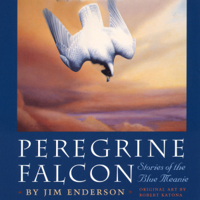 Jim Enderson - Peregrine Falcon: Stories of the Blue Meanie: Corrie Herring Hooks Series (Unabridged) artwork