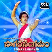 Sagara Sangamam (Original Motion Picture Soundtrack) artwork