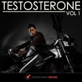 Testosterone, Vol. 1 artwork