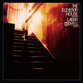 Aspects (feat. Larry Coryell)