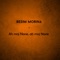 Qe Nga Mbremja E Matures - Besim Morina lyrics