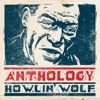 Howlin' Wolf - I Asked for Water