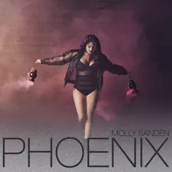 Phoenix Song Lyrics