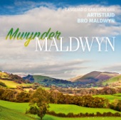 Mwynder Maldwyn