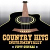 Country Hits Instrumentally, 2014