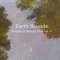 Grizzly Bears Graze Here - Earth Sounds lyrics