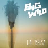 La Brisa artwork