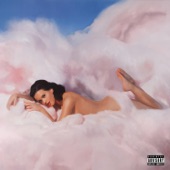 Teenage Dream (Deluxe Edition) artwork