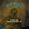 Sunny Side of Life - Rick Danko lyrics