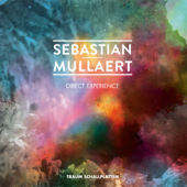 Direct experience - EP - Sebastian Mullaert