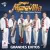 Grandes Éxitos Vol. 2