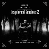 Deepforest Sessions 2 artwork