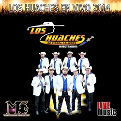 Los Huaches De Tierra Caliente - Una Historia De Amor (En Vivo) [feat. María Belem]