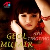 Geol Mujair - Single